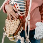 Human Brain Discovery: Proven Insights into Its Structure