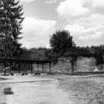 Is Firing Squad Execution the Right Choice for Justice?